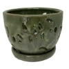 Ceramic Orchid Pot/Saucer 5 3/4" X 4 3/8" - Green 2 Ceramic Orchid Pot/Saucer 5 3/4" X 4 3/8" - Green -Cheap Plants Store 14676greennew 60175.1665688262