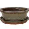 Ceramic Bonsai Pot/Saucer - Mustard Oval - 6 1/8" X 4 1/2" X 2" With Felt Feet 1 Ceramic Bonsai Pot/Saucer - Mustard Oval - 6 1/8" X 4 1/2" X 2" With Felt Feet -Cheap Plants Store 14681mustardoval 62366.1644514191