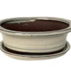 Ceramic Bonsai Pot With Saucer - Beige Oval - 8" X 6.25" X 3" -Cheap Plants Store 14682beigoval 14151.1655476573