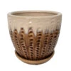 Pompeii Ceramic Planter With Attached Saucer - Latte - 6" X 5.5" 1 Pompeii Ceramic Planter With Attached Saucer - Latte - 6" X 5.5" -Cheap Plants Store 527813pompeiilatte 38034.1637774974