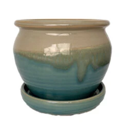 Archdale Ceramic Planter With Attached Saucer - Moss - 6" X 5"
