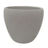 White Lizard Textured Round Ceramic Pot - 6" X 5.25" 2 White Lizard Textured Round Ceramic Pot - 6" X 5.25" -Cheap Plants Store 884564whitelizard 33967.1657229608