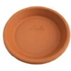 5 - 6"/4.75" Clay Saucers -Water Resistant- For Plants, Crafts, Fairy Gardens 1 5 - 6"/4.75" Clay Saucers -Water Resistant- For Plants, Crafts, Fairy Gardens -Cheap Plants Store api2h6gmf 90048.1592317111