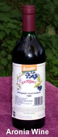 Viking Chokeberry Plant - Aronia - Shrub/Bonsai/Wine - 3.25" Pot 5 Viking Chokeberry Plant - Aronia - Shrub/Bonsai/Wine - 3.25" Pot - Image 3