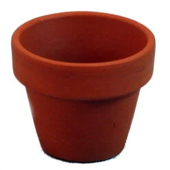 50 - 3" X 2.5" Clay Pots - Great For Plants And Crafts 7 50 - 3" X 2.5" Clay Pots - Great For Plants And Crafts -Cheap Plants Store api9630bw 59793.1592319634