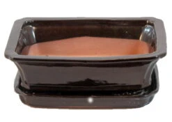 Ceramic Bonsai Pot + Saucer - Dark Brown - 8" X 6.25" X 3" + Felt Feet