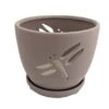Dragonfly Matte Gray Ceramic Orchid Pot And Saucer + Felt Feet-5 1/2" X 5 1/4" 1 Dragonfly Matte Gray Ceramic Orchid Pot And Saucer + Felt Feet-5 1/2" X 5 1/4" -Cheap Plants Store apigmwj7z 43210.1592319425