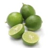 Key Lime Tree - 4x12" Pot -Fruiting Size-Key Lime Pie-Tree Form 1.5'-3' 2 Key Lime Tree - 4x12" Pot -Fruiting Size-Key Lime Pie-Tree Form 1.5'-3' -Cheap Plants Store apinbegqo 72288.1592324823