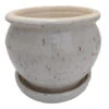 Speckle Planter With Attached Saucer - Cream - 6" X 5 1/2" 2 Speckle Planter With Attached Saucer - Cream - 6" X 5 1/2" -Cheap Plants Store apivx3s2v 61608.1592327998