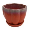 Orange Petal Bowl Ceramic Pot With Attached Saucer - 7.5" X 5.5" 2 Orange Petal Bowl Ceramic Pot With Attached Saucer - 7.5" X 5.5" -Cheap Plants Store apivy3krf 75605.1592329958