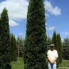FULL SPEED A HEDGE® THIN MAN® Arborvitae - 4" Pot - Thuja Occidentalis 2 FULL SPEED A HEDGE® THIN MAN® Arborvitae - 4" Pot - Thuja Occidentalis -Cheap Plants Store b22d37ee6e93dff604fcd48b3a3ab616 27586.1615344578