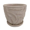 Beach Fern Ceramic Pot With Attached Saucer - Moonstone - 5" X 4.75" -Cheap Plants Store beachfernpotmoonstone 13837.1603473500