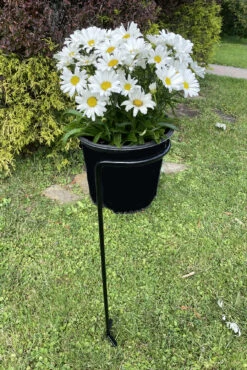 Outdoor Hanging Basket/Plant Stand - Use With Standard 10" Pots - 40" Tall 13 Outdoor Hanging Basket/Plant Stand - Use With Standard 10" Pots - 40" Tall -Cheap Plants Store daistnd2 06225.1693511362