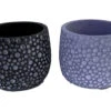Double Bubbles Caprise Cement Planters - 4.25" X 4" - Two Pack- 1 Black And 1 Blue 1 Double Bubbles Caprise Cement Planters - 4.25" X 4" - Two Pack- 1 Black And 1 Blue -Cheap Plants Store dblbubblepots 87702.1696524967
