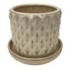 Diamond Pearl Ceramic Pot With Attached Saucer - 4.5" X 4.25" 1 Diamond Pearl Ceramic Pot With Attached Saucer - 4.5" X 4.25" -Cheap Plants Store diamondpearl 19260.1655476574