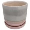 Horizon Dawn Ceramic Pot With Attached Saucer - 5.5" X 4.75" 1 Horizon Dawn Ceramic Pot With Attached Saucer - 5.5" X 4.75" -Cheap Plants Store horizondawn 92335.1607731629