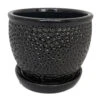 Pebble Black Ceramic Pot With Attached Saucer - 5.5" X 4.75" 1 Pebble Black Ceramic Pot With Attached Saucer - 5.5" X 4.75" -Cheap Plants Store pebblecblack 59327.1678415990