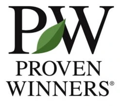 CASTLE KEEP® Blue Holly - Ilex - 4" Pot - Proven Winners 9 CASTLE KEEP® Blue Holly - Ilex - 4" Pot - Proven Winners -Cheap Plants Store pw logo 74417.1615344696