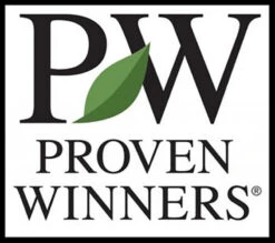 Pillow Talk® Gardenia Jasminoides - Proven Winners - 4" Pot 9 Pillow Talk® Gardenia Jasminoides - Proven Winners - 4" Pot -Cheap Plants Store pwinnerslogo20copy 77288.1690932462