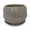 Seneca Ceramic Pot With Attached Saucer - 5" X 4.25" - Light Grey 2 Seneca Ceramic Pot With Attached Saucer - 5" X 4.25" - Light Grey -Cheap Plants Store senecaltgrey 62271.1665076181