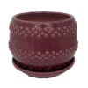 Seneca Ceramic Pot With Attached Saucer - 5" X 4.25" - Ruby 2 Seneca Ceramic Pot With Attached Saucer - 5" X 4.25" - Ruby -Cheap Plants Store senecaruby 89169.1665076180