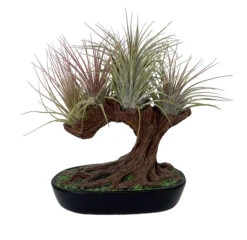 Tree Of Air Sculpture With Multiple Live Tillandsia Air Plant
